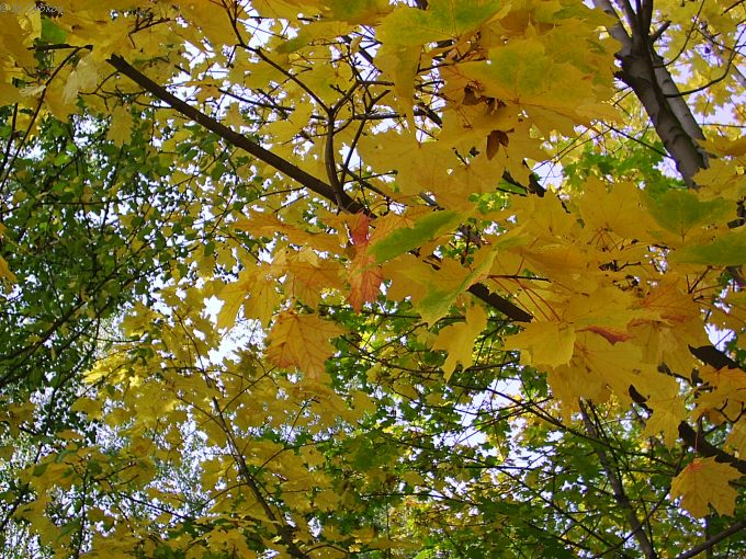 2003-10-12 11-59-31.jpg